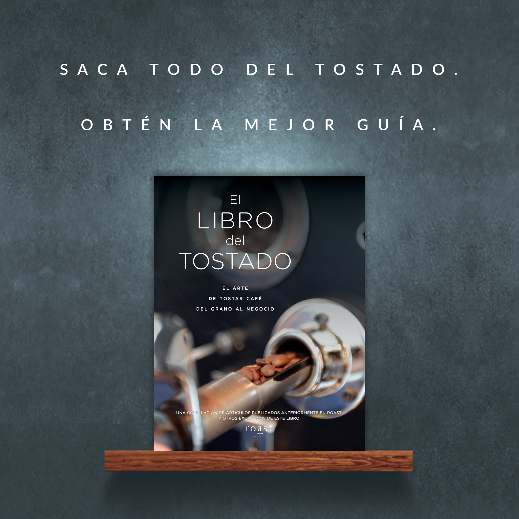 El Libro del Tostado