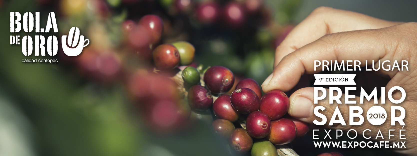 Café Bola de Oro